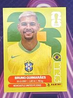 BRA 11