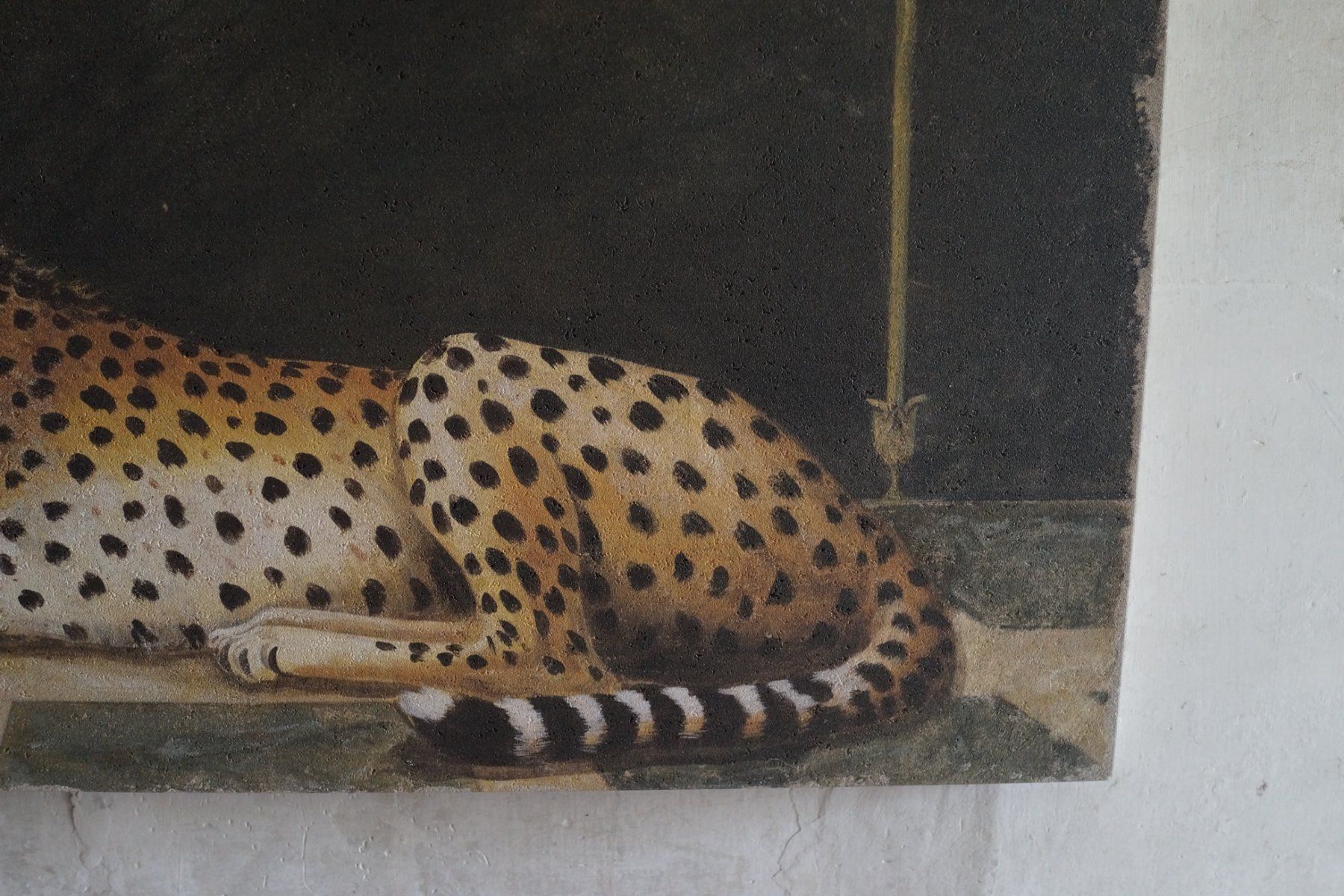 Poster & Bilder: Bild Gepard "Ghepardo Pompei" 140 x 90cm – Gebraucht aus Holderbank AG von Gute-Artikel 1