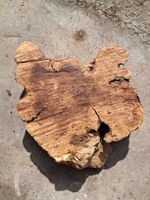 Oliven Holzscheibe, naturbelassen, 42cm gemäss Bilder
