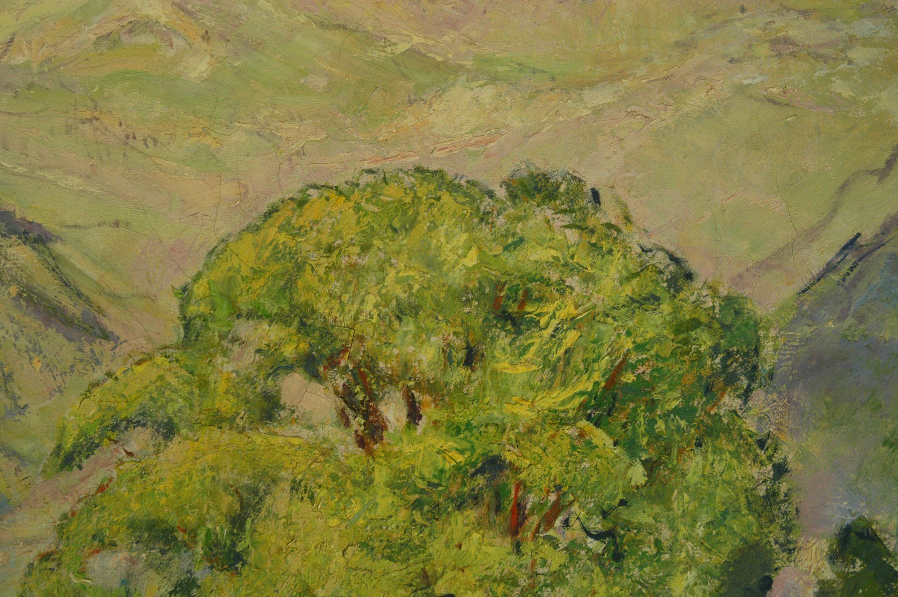 Dipinti: Landschaft am See Oel auf Leinwand – Usato da Herisau venduto da Wisen 3