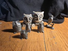 Eule Figuren 6 stk Zin alli zämä ein Preis so wie Foto