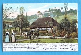 Bauernhaus - Aargau - Schloss im Hintergrund  1903
