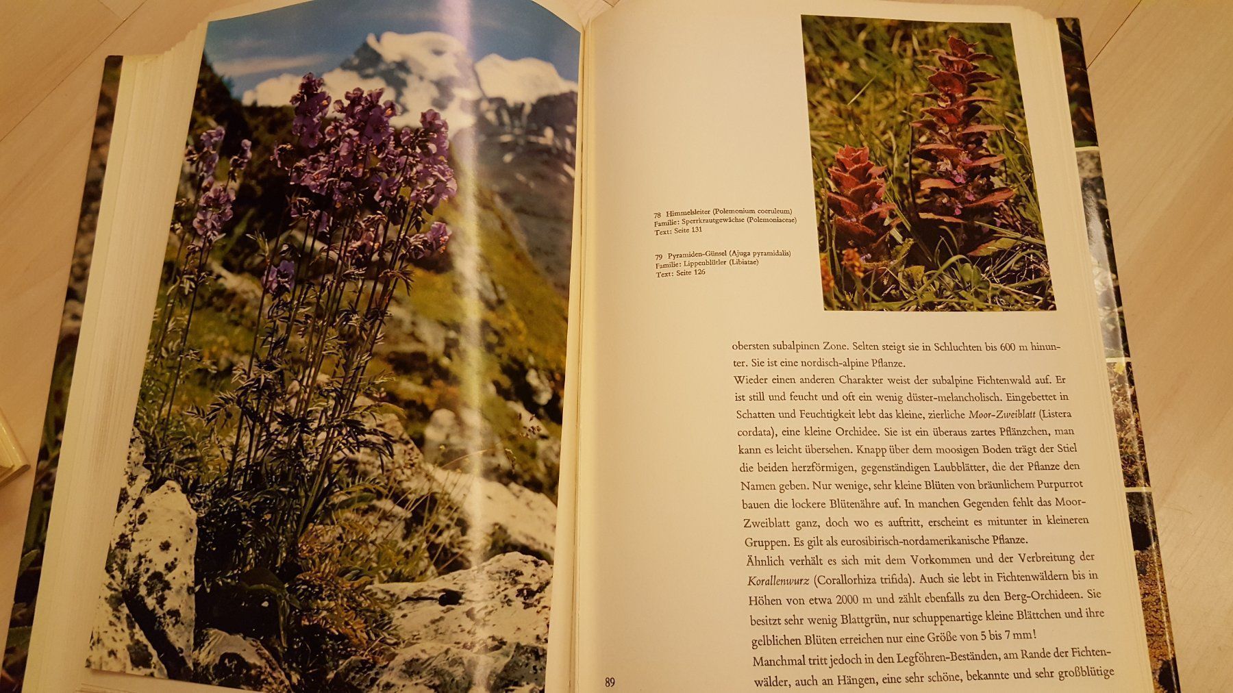 Libri: Alpenblumen Buch – Usato da Schönengrund venduto da Liane63 5