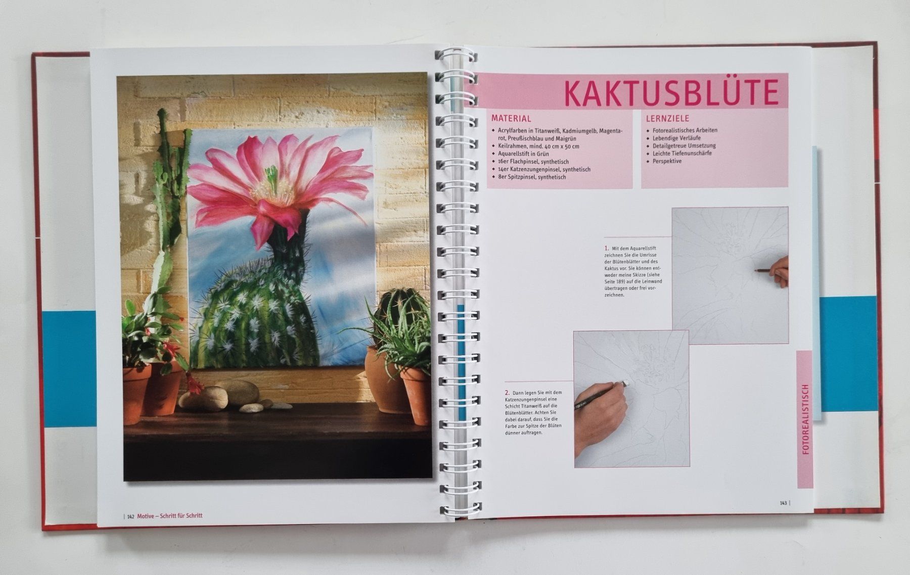 Libri: Acrylmalkurs Buch mit DVD, Martin Thomas – Usato da Opfikon venduto da Diversamente 6