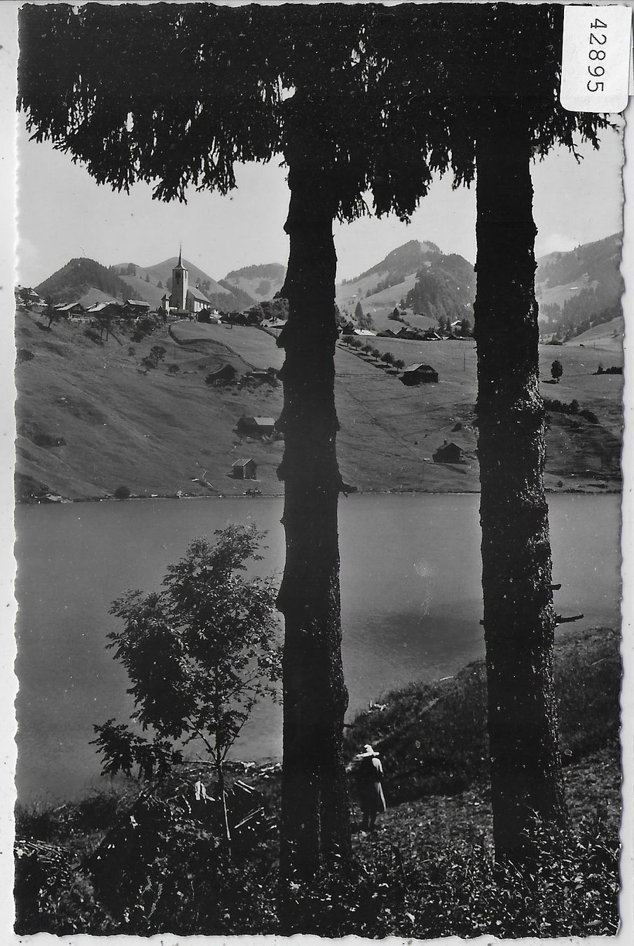 Cartoline postali: Charmey - Vue generale – Usato da Ettingen venduto da Kartenplanet