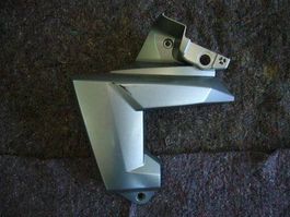 Kawasaki Versys / 2010 Kühlerabdeckung
