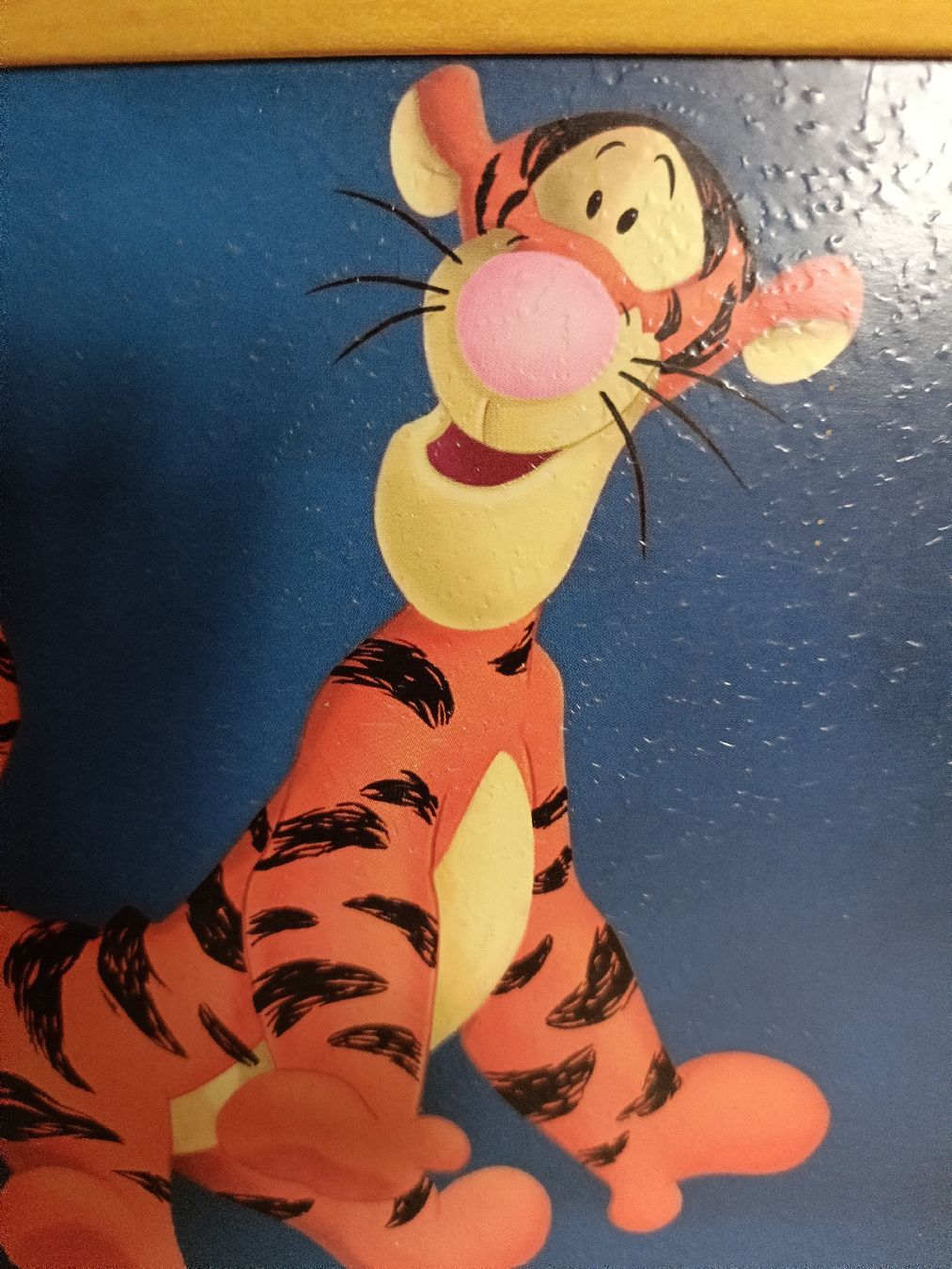 Poster & Bilder: Bild mit Tiger Kinderzimmer / Kinderbild – Neu (gemäss Beschreibung) aus Muri AG von Kanide 1