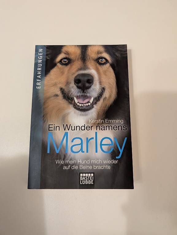 Bücher: Buch Kerstin Emming – Gebraucht aus Appenzell von Sandra_Saendi