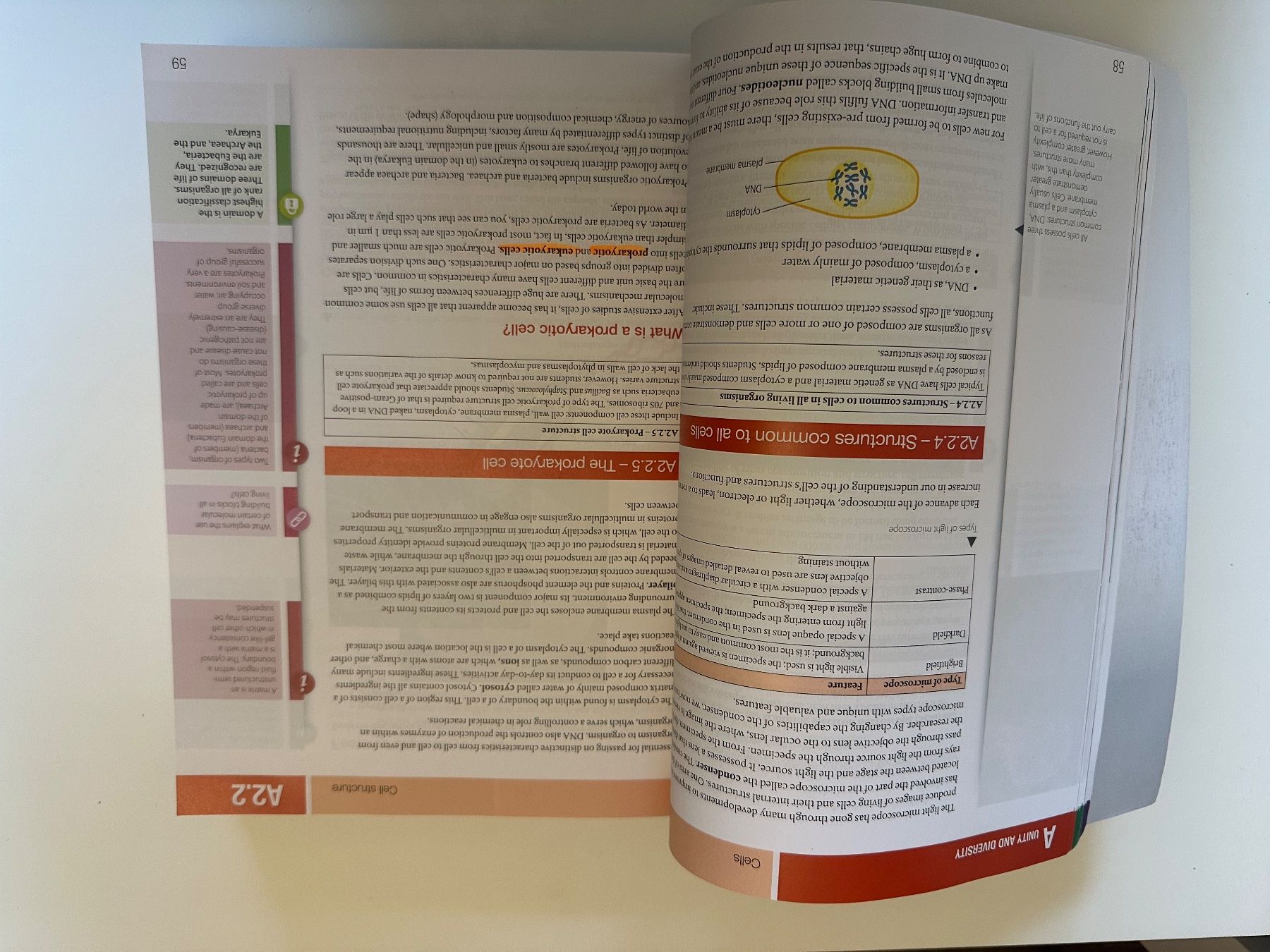 Libri: Pearson Biology for the IB Diploma Higher Level – Usato da Stäfa venduto da sgschumacher 1