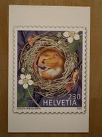 AK mit Tier Briefmarken Motiv von Oreste Vinciguerra