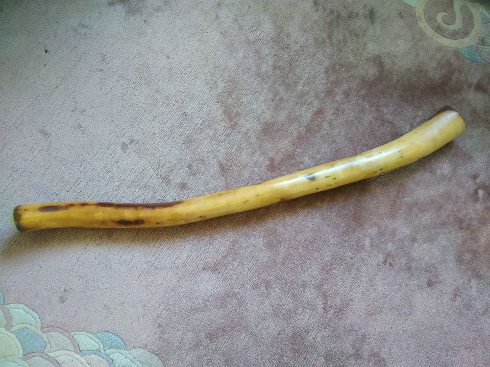 Didgeridoo Eukalyptus Kaufen auf Ricardo