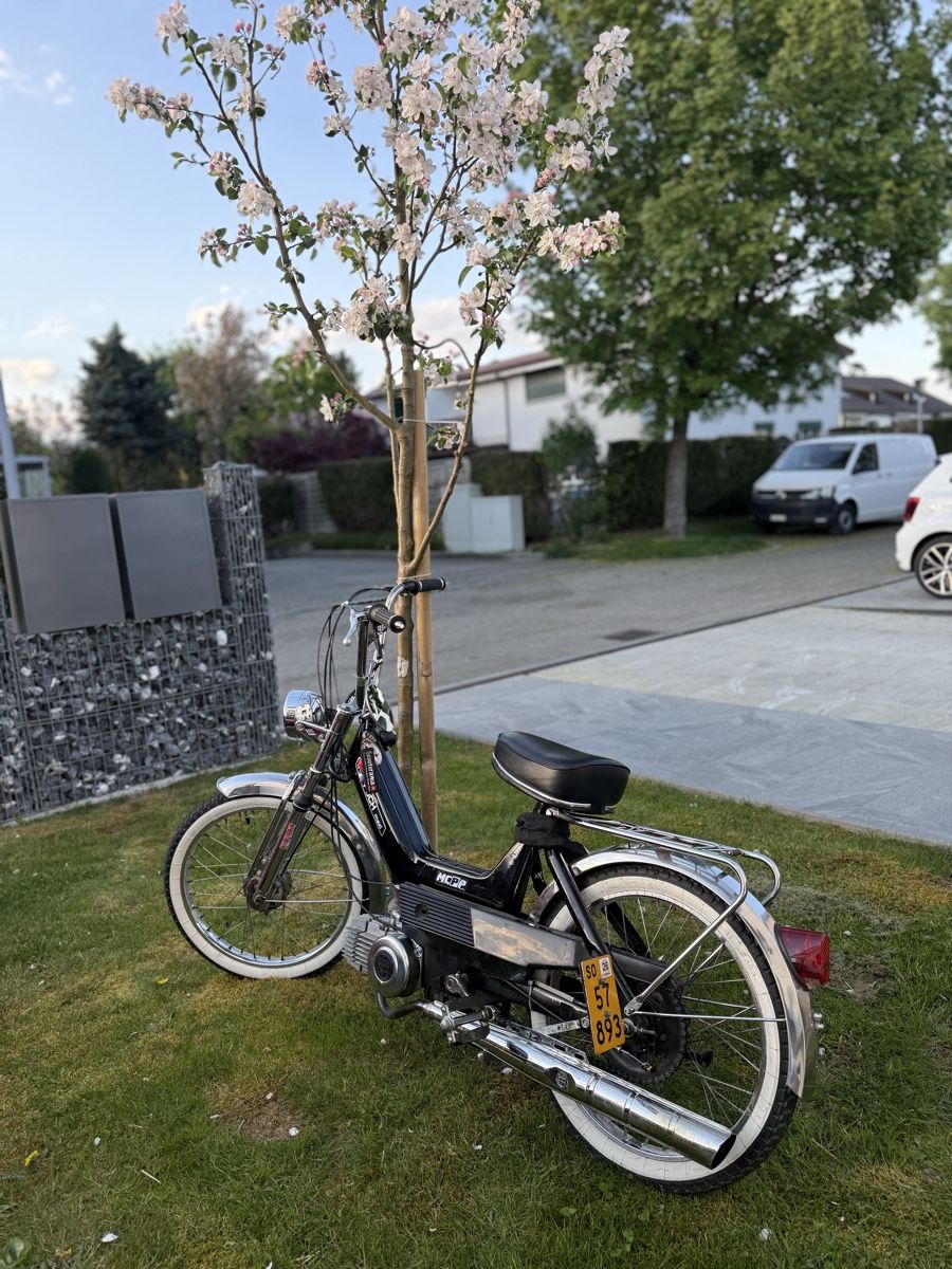 Mofas: Puch Maxi N Revidiert – Gebraucht aus Däniken SO von pet_hv5v 2