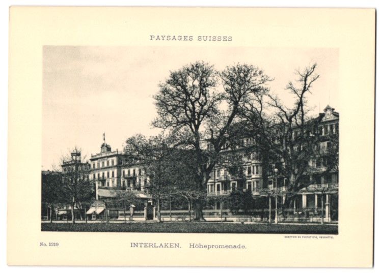 Fotografie & Manifesti: Fotografie Interlaken, Höhepromenade mi – Usato da Berlin venduto da bartko-reher