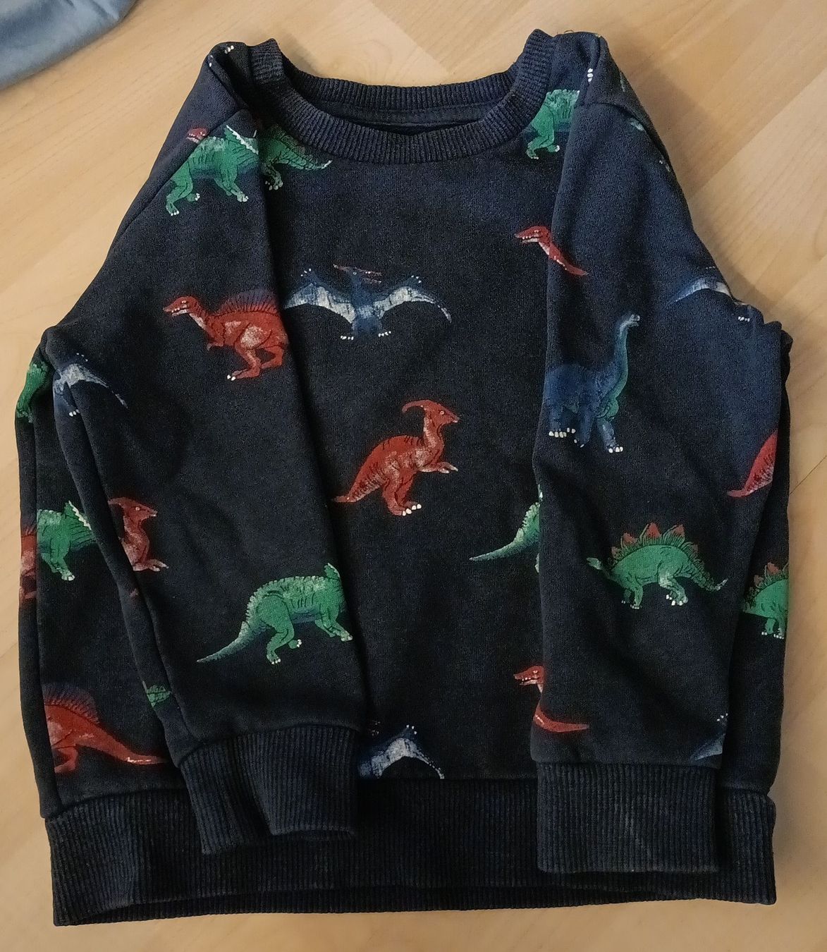Maglioni & Felpe: Cooler Dino-Pulli, Grösse 104 -  – Usato da Rotkreuz venduto da mar_wn5h