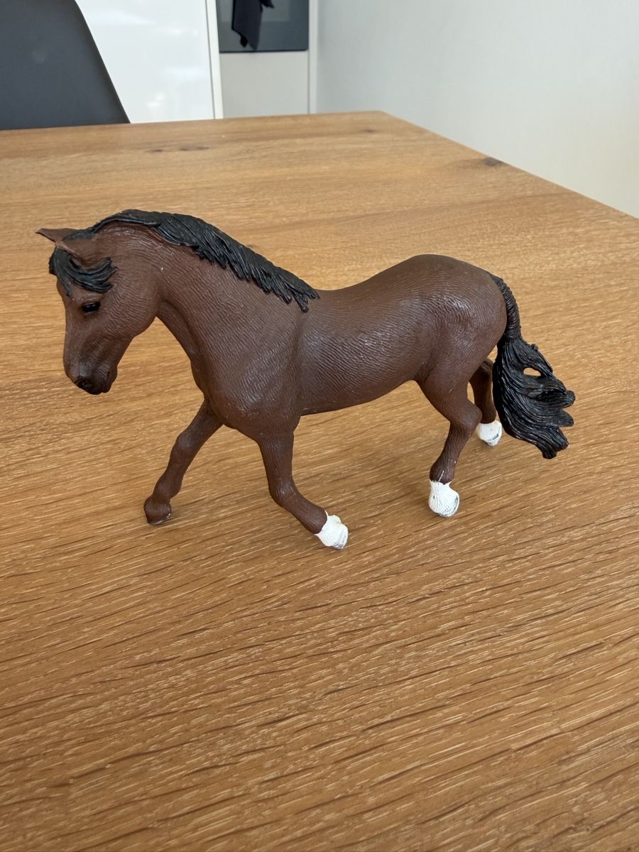 Spielzeuge: Schleich Trakehner Wallach – Gebraucht aus Uznach von Player6