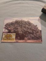 Carte postale originale Venda Utale 1991 - Rare! 46 car