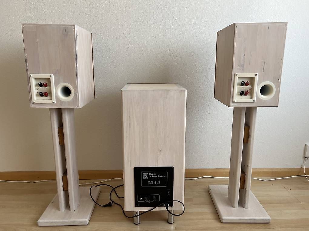Lautsprecher: Hi-Fi Anlage mit Peerless, Hypex & Seas Komponenten – Gebraucht aus Basel von cos_9k65 2