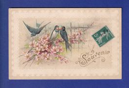 OISEAU - Hirondelles - Fleurs