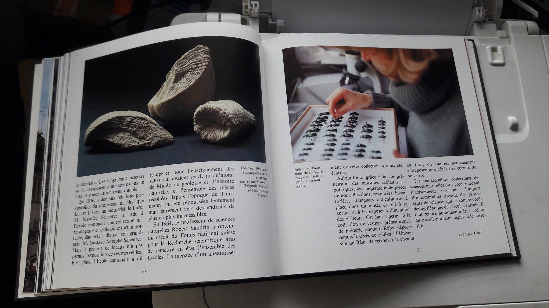 Libri: Livre Porrentruy – Usato da Laufen venduto da Mann455 3