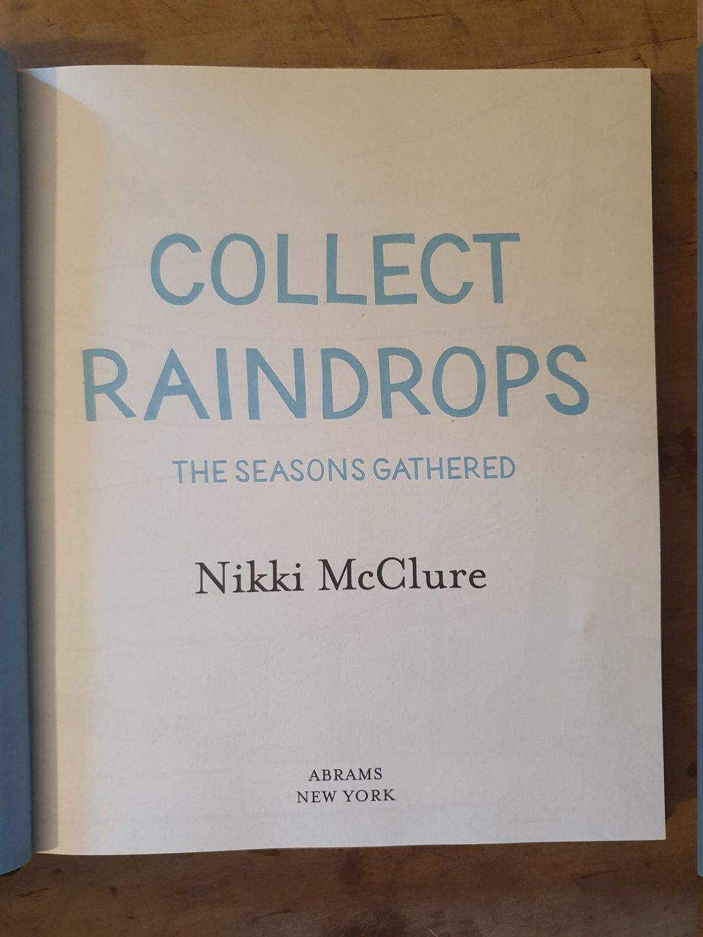 Libri: Collect Raindrops Mikki McClure Abrams – Usato da Zürich venduto da loosebone 2