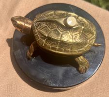 Schildkröte Messing Schalter Klingel Deko Jugendstil⁠