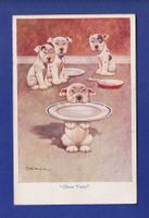 CHIEN / HUND - Oliver Twist