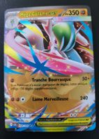 Méga Gallame Chaos ascendant FR