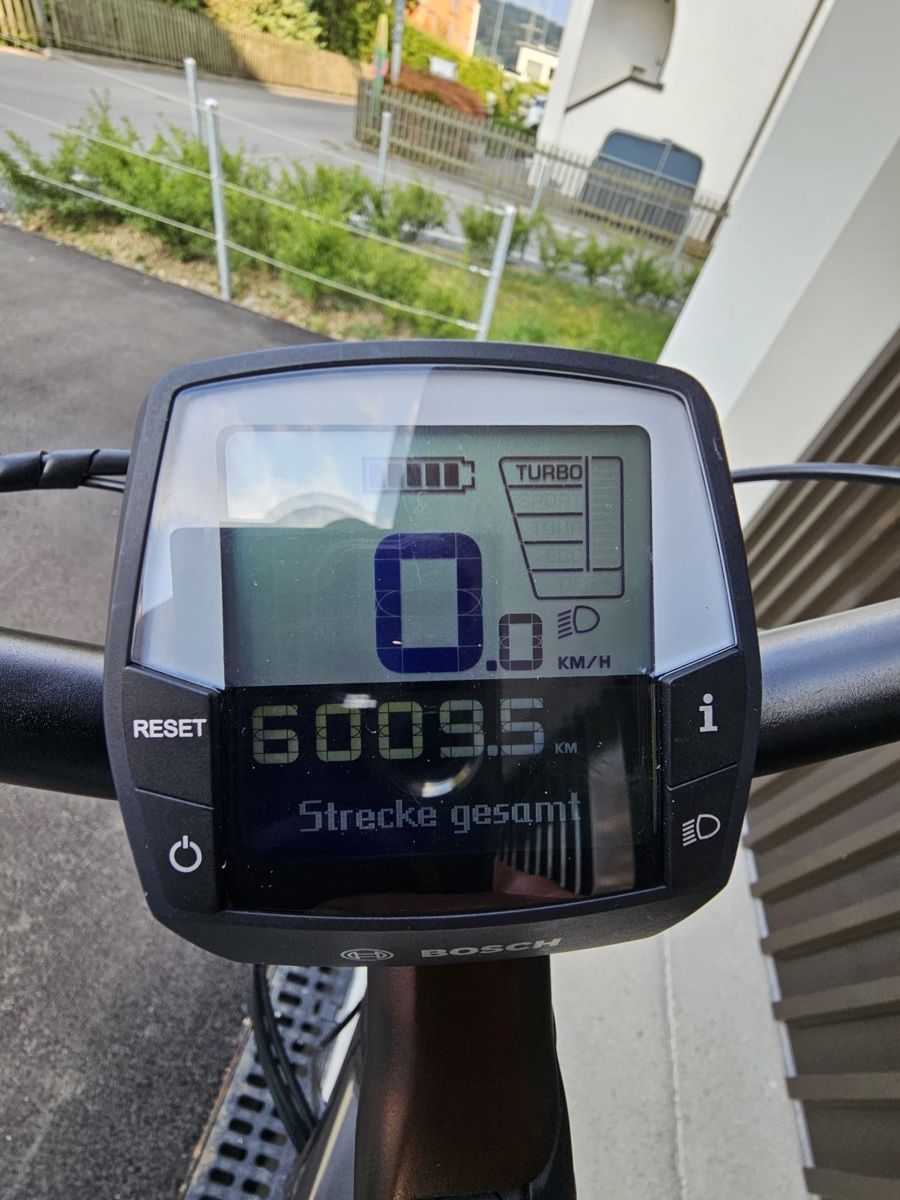 Flyer Biciclette: E-Bike Flyer – Usato da Bern venduto da ser_7vtn 3
