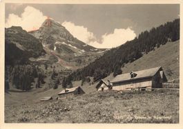 Alp valspus margelkopf G