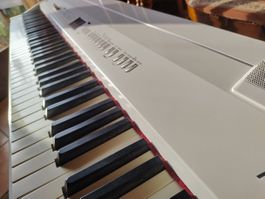 Digital Piano Roland FP7F in weiss mit Unterbau