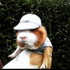 Profile image of bur_v9sk