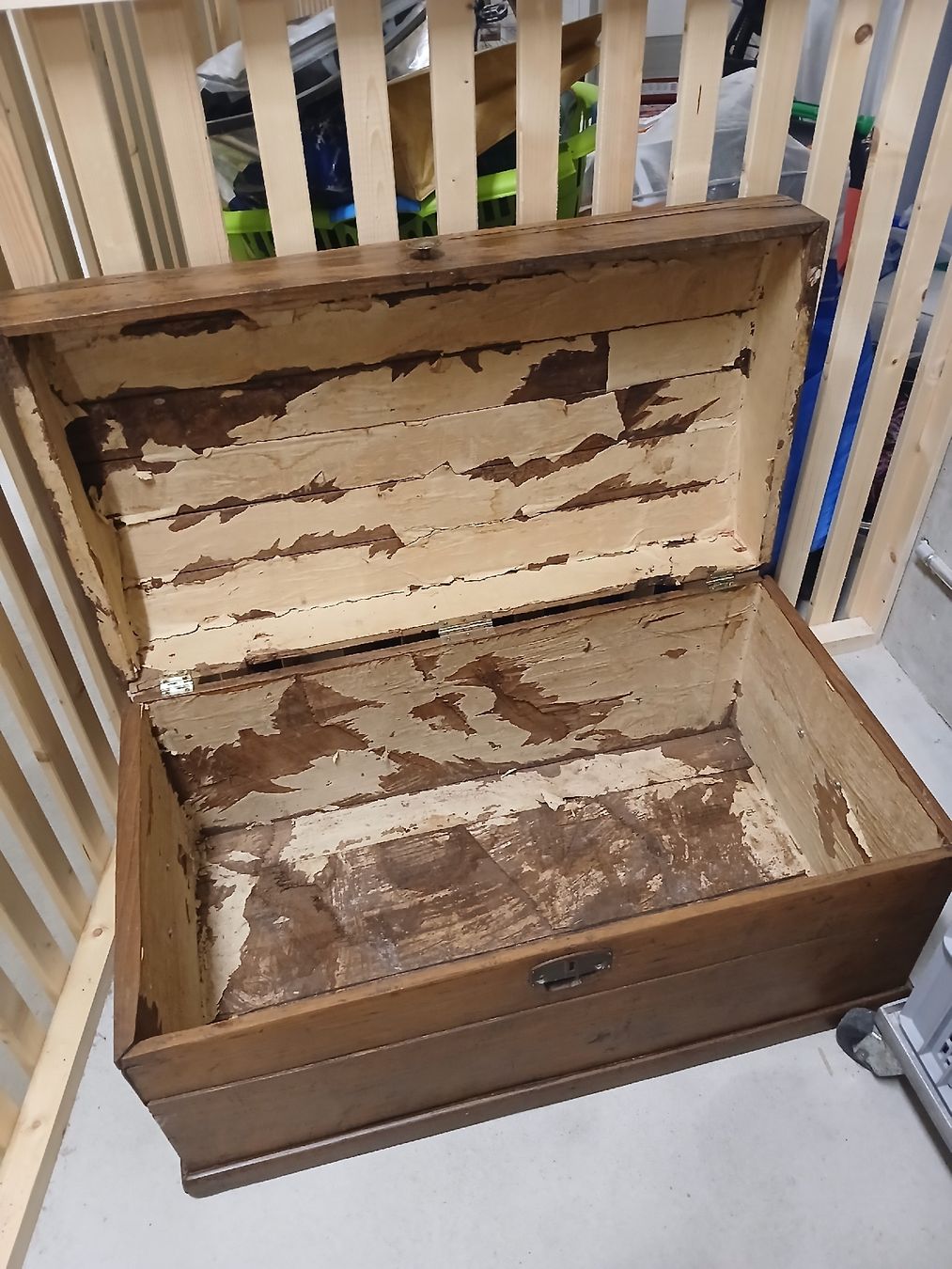 Coffres: Baule Legnodi design – Défectueux à Reinach BL par nin_h6hf 1