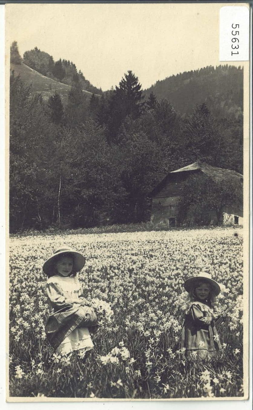 Cartes postales: Champ de Narcisses – D'occasion à Ettingen par Kartenplanet