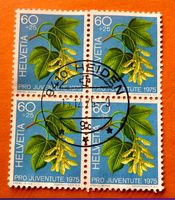 Nr.J 253 Pro Juventute GESTEMPELT Heiden 1975  