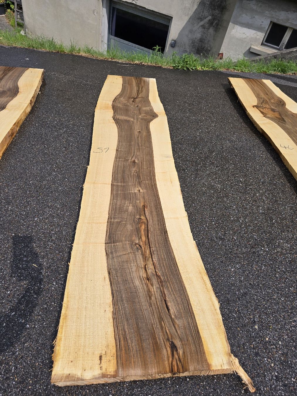 Articoli in legno: Nussbaumstamm frisch – Nuovo (secondo la descrizione) da Ramsei venduto da Waelchris 5