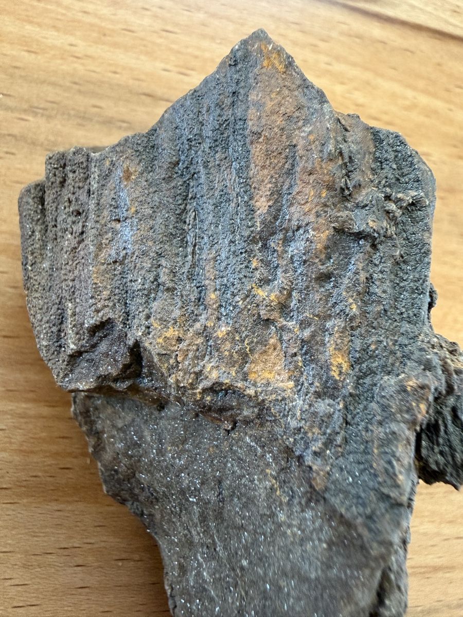 Fossili: Versteinertes Holz – Usato da Grenchen venduto da Bastet007 6
