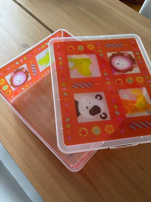Rotho Contenitori & Simili: Aufbewahrungsbox Marke Rotho Kinder – Usato da Bülach venduto da marspi 1