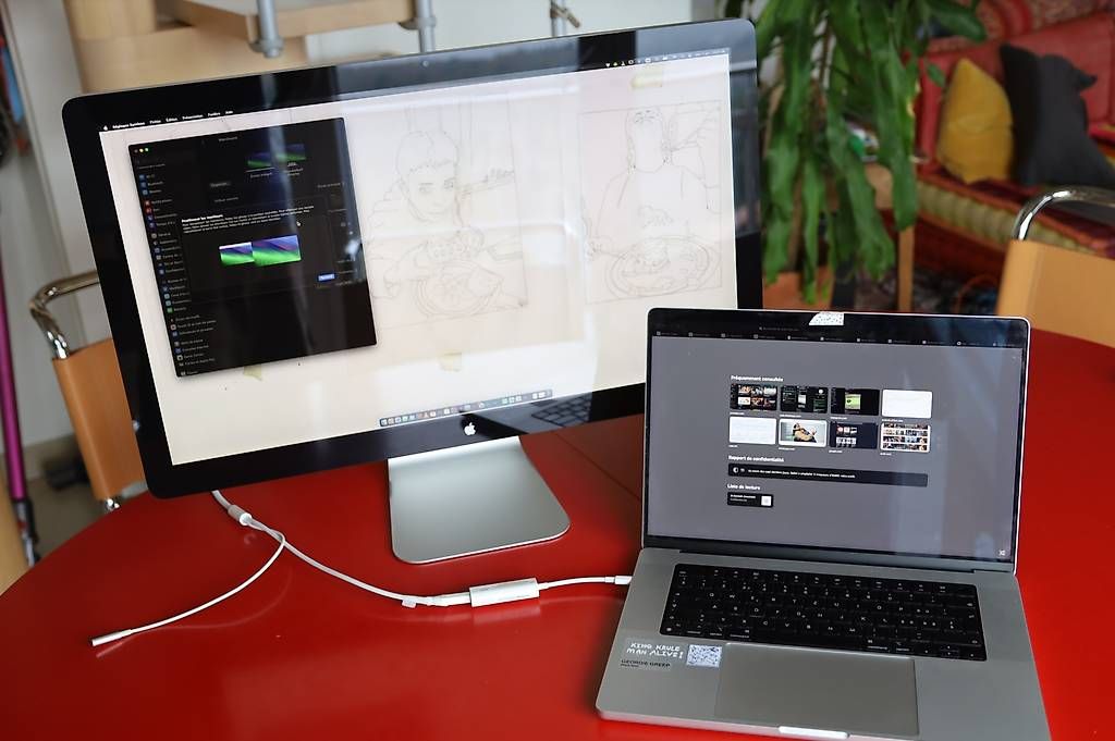 Monitor: Thunderbolt display 27 avec connection usb-C – Usato da Bassins venduto da nip_7bhz 3