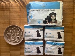 Hunde-Windeln für Rüden und Training Pads