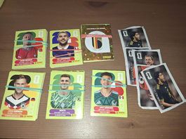 Panini Bilder