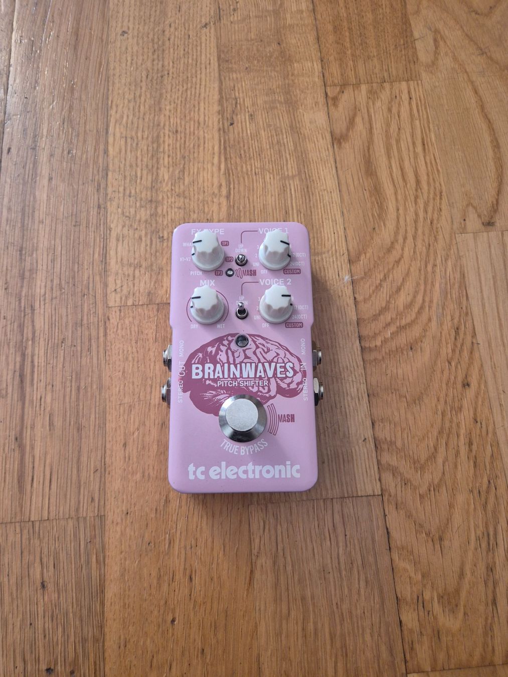 Strumenti musicali: TC Electronic Brainwaves Pitch Shifter - Pedal – Nuovo (secondo la descrizione) da Bern venduto da PCBuilder95
