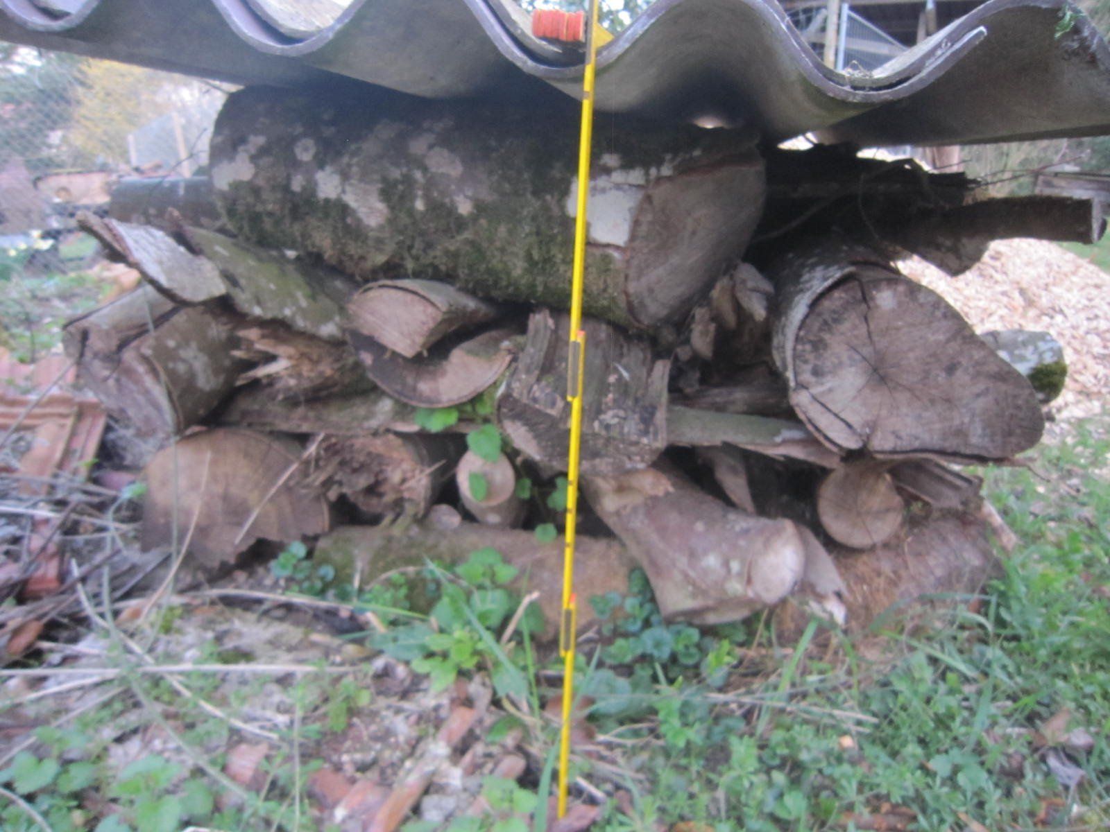 Holzartikel: Brennholz Buche – Gebraucht aus Böttstein von koehlerkafi