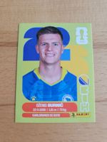 Panini WM 2026 BIH 14