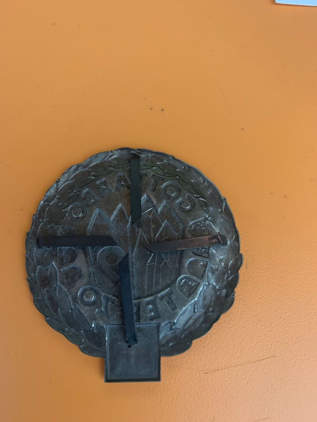 Medaglie: Béret Emblem GOTTARDO TER  ZO  9 – Usato da Arbedo venduto da nadia1973 1