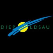 Profile image of IT-SDS