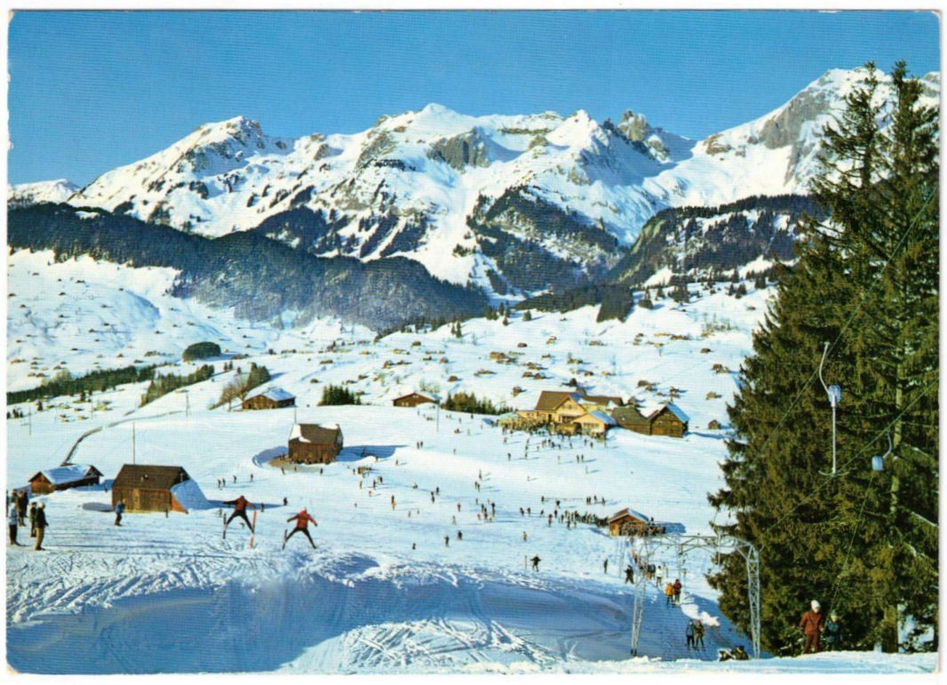 Cartoline postali: Wildhaus - Skilift Oberdorf – Usato da Binningen venduto da Mountainrider