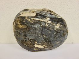Versteinertes HOLZ Fossil Flussstein OREGON USA