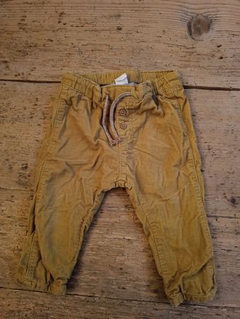Kordhose Cordhose Hose H&M Baby 74 senfgelb