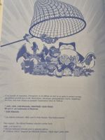Album Pokémon Vintage 2000's complet 🔥