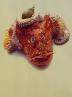 Stillleben Meeresfrüchte - Drachenkopf & Oktopus - Druck